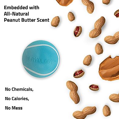 Playology Squeaky Chew Ball Peanut Butter Scent Small Dog Toy 3-Pack