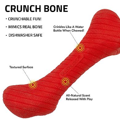 Playology Jumbo Crunchy Femur Bone Beef Flavor Dog Toy