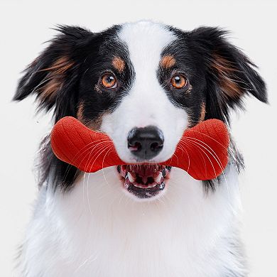 Playology Jumbo Crunchy Femur Bone Beef Flavor Dog Toy