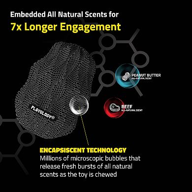 Playology Squeaky Pinecone Beef Scent Jumbo Dog Toy