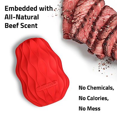 Playology Squeaky Pinecone Beef Scent Jumbo Dog Toy