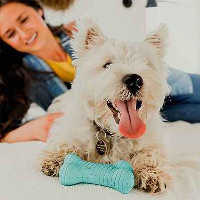 Playology Dual Layer Bone Peanut Butter Scent Small Dog Toy