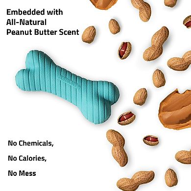 Playology Dual Layer Bone Peanut Butter Scent Small Dog Toy