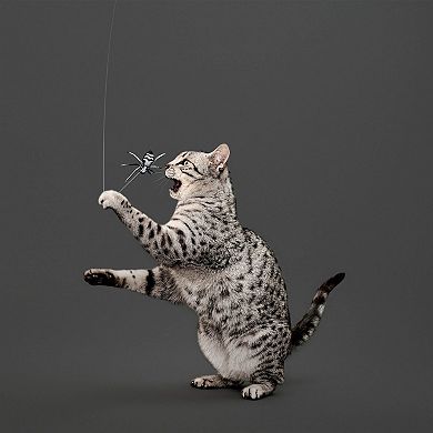 Playology Spider Teaser Interactive Cat Toy
