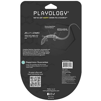 Playology Lizards with Bugs 2-Pack Cat Toy