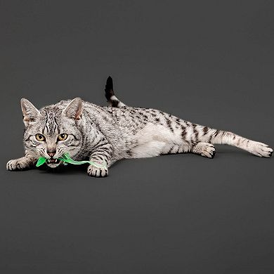 Playology Lizards with Bugs 2-Pack Cat Toy