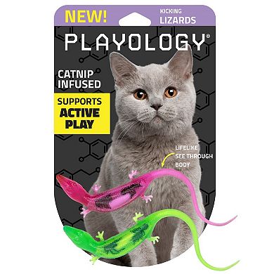 Playology Lizards with Bugs 2-Pack Cat Toy