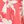 Red Faded Dye Floral