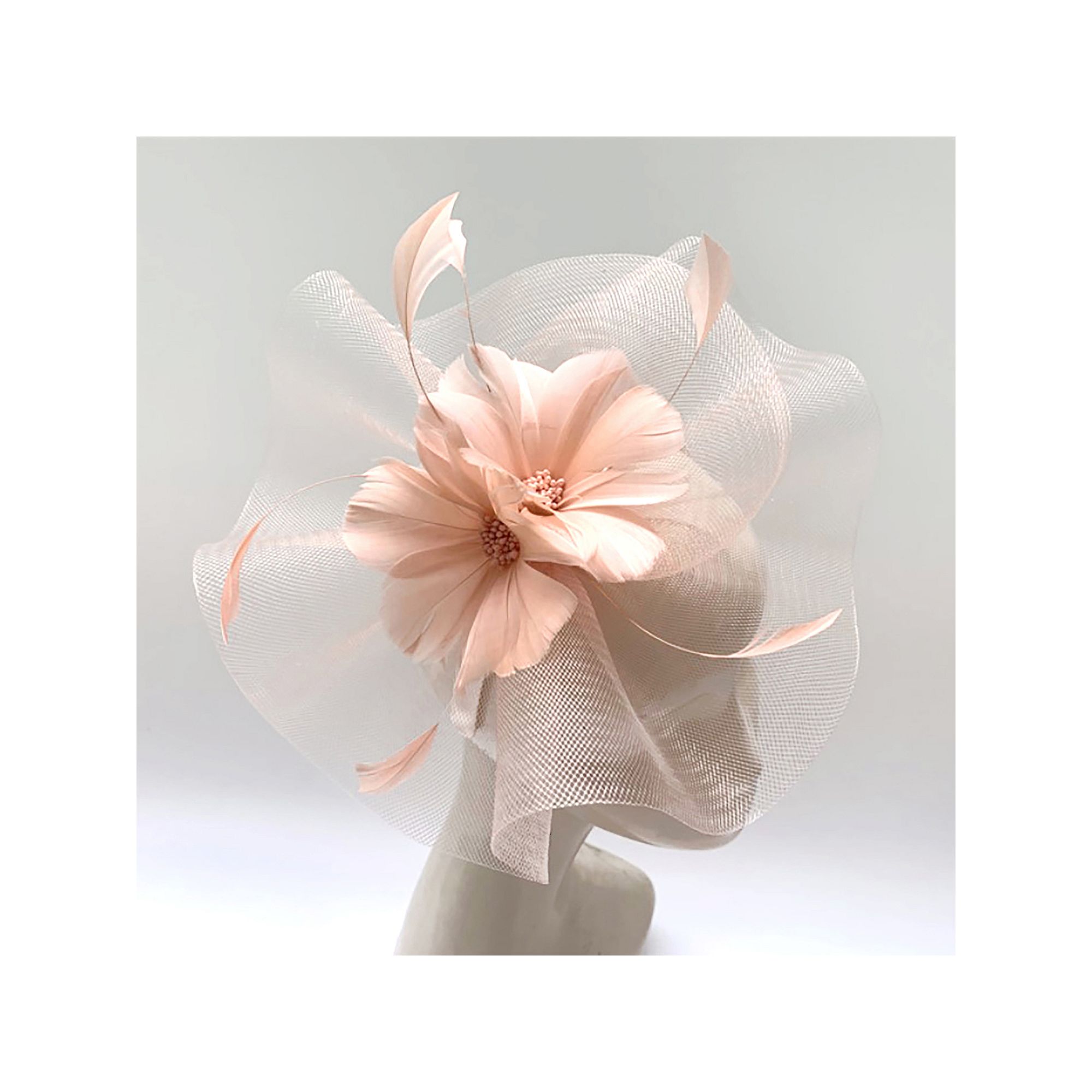 Womens Bellisima Delicate Feather Flower Fascinator, Orange