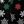 Black Festive