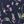 Navy Dancing Floral