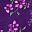 Radiant Purple Soft