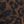 Leopard Brown