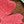 Brown Blue Green Pink