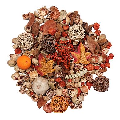 Sonoma Goods For Life® Pumpkin Spice Potpourri