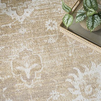 Nourison Astra Vintage Distressed Washable Indoor Area Rug