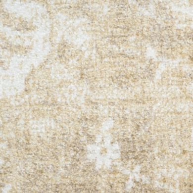 Nourison Astra Vintage Distressed Washable Indoor Area Rug
