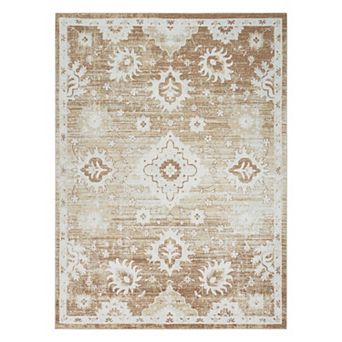 Nourison Astra Vintage Distressed Washable Indoor Area Rug