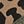 Olive Leopard