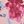 Pink Multi