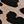 Black Leopard