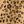 Tan Leopard