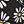 Black Daisy