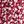 Red Brown Ditsy