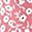 Pink White Flower