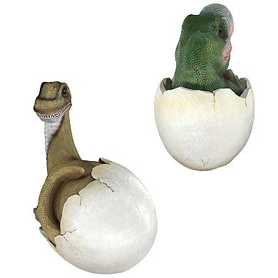 Baby Dinosaur Egg Hatchling Statues