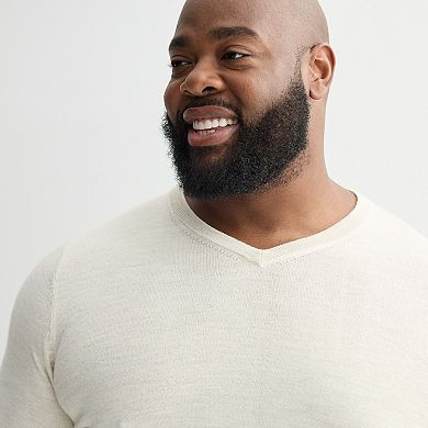 Big & Tall Apt. 9® Merino Blend V-Neck Sweater