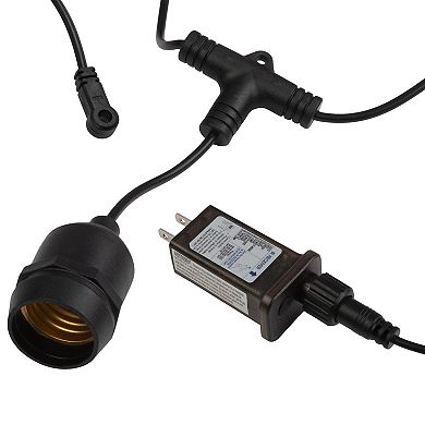 Pure Garden 50-ft. Color-Changing LED Outdoor String Light