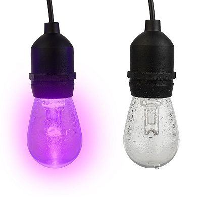 Pure Garden 50-ft. Color-Changing LED Outdoor String Light