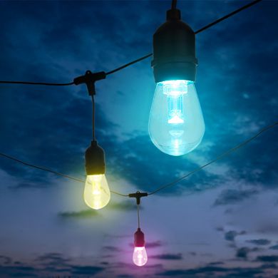 Pure Garden 50-ft. Color-Changing LED Outdoor String Light