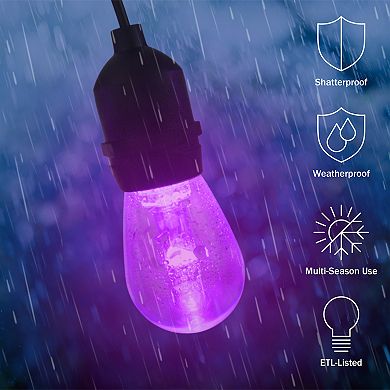 Pure Garden 50-ft. Color-Changing LED Outdoor String Light