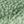 Light Gray Sage Green