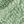 White Sage Green