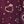 Plum Star Hearts