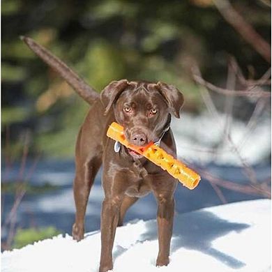 Chuckit Air Fetch Stick Fetch Hard Breath Easy Dog Toy