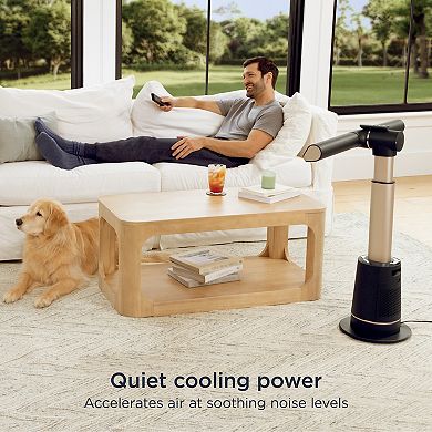 Shark® TurboBlade Flex Breeze Tower Fan (TF202S)