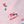 Pink Skiing Dogs