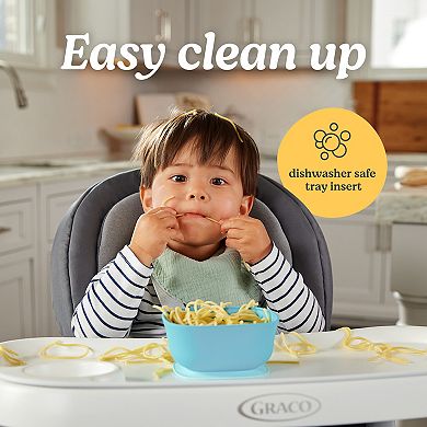 Graco DuoDiner DLX Highchair