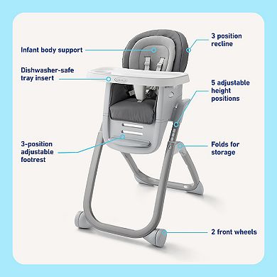 Graco DuoDiner DLX Highchair