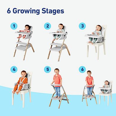 Graco EveryStep Slim 6-in-1 Highchair