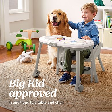 Graco Table2Table LX 6-in-1 High Chair