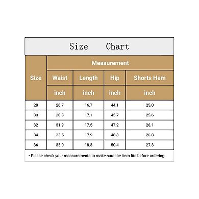 Men's Casual Elastic Waist Drawstring Mesh Lining Swimming Beach Shorts