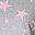 Light Gray Star