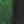 Green Black