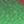 Green Brown