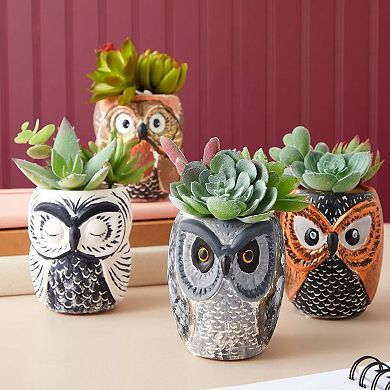 Ceramic Succulent Planters With Owl Designs DIY Paint Set of 4
